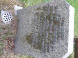 image of grave number 729567